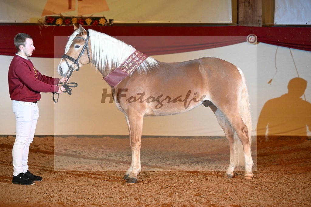 Stavaro_3262757 | hf-fotografie - Realisiert mit Pictrs.com