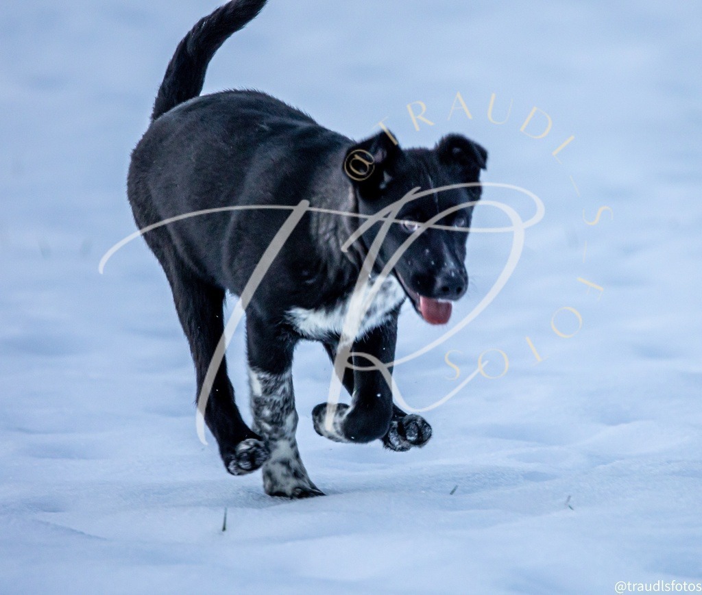 57ED2B39-0273-4181-BA98-0385DF1FACC6 | traudl_s_fotos