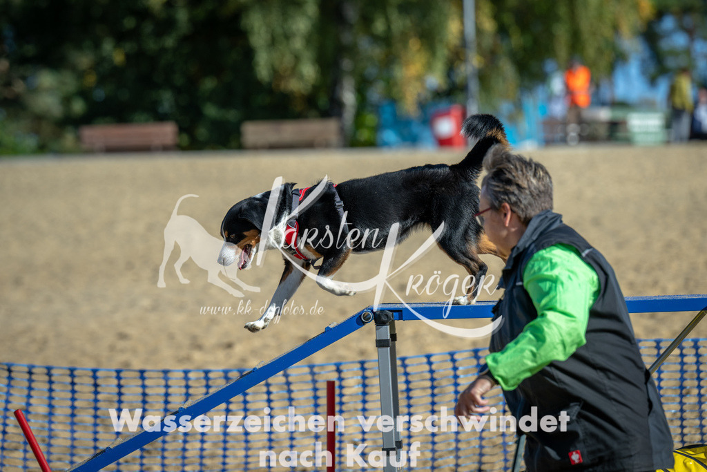 1125_ZZ91145 | kk-dogfotos
