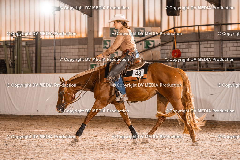 ZH100532 | dv-media-shop - Realisiert mit Pictrs.com