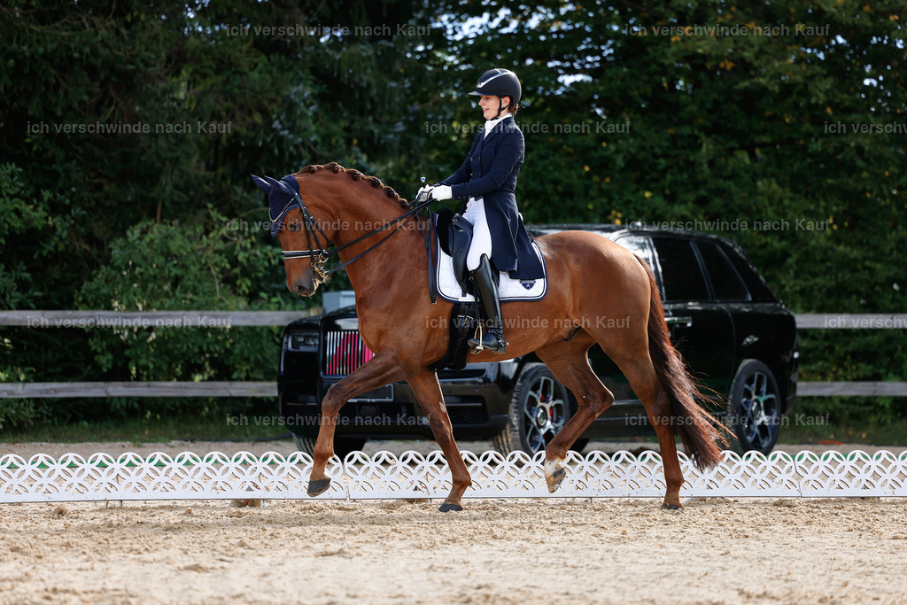 6-143-AMATUER-DRESSUR S_  -StoibPH-3420 | working equitationturnier fotograf videograf stoibphotography marixx film working equitation deutschland reitsport turnierfotografie eventfotografie equestrian events
