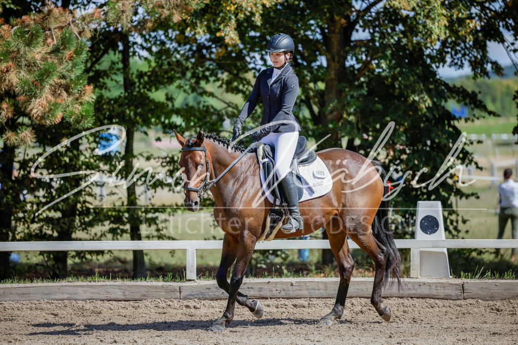 20250906-_3LI4602 | Tierfotografie Pferde, Hunde, Katzen, Haustiere.
Turnierfotografie Reitturniere, Reiten, Springreiten, Dressur in Hanau, dem Main-Kinzig-Kreis und dem Rhein-Main- Gebiet um Frankfurt
