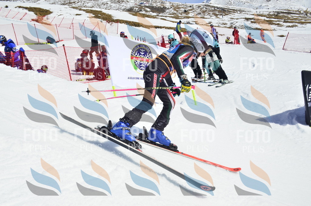 _ELE1158 | holidayphoto