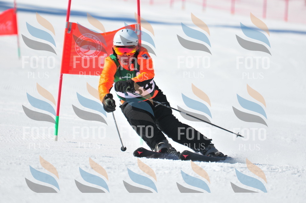 C4323 | holidayphoto