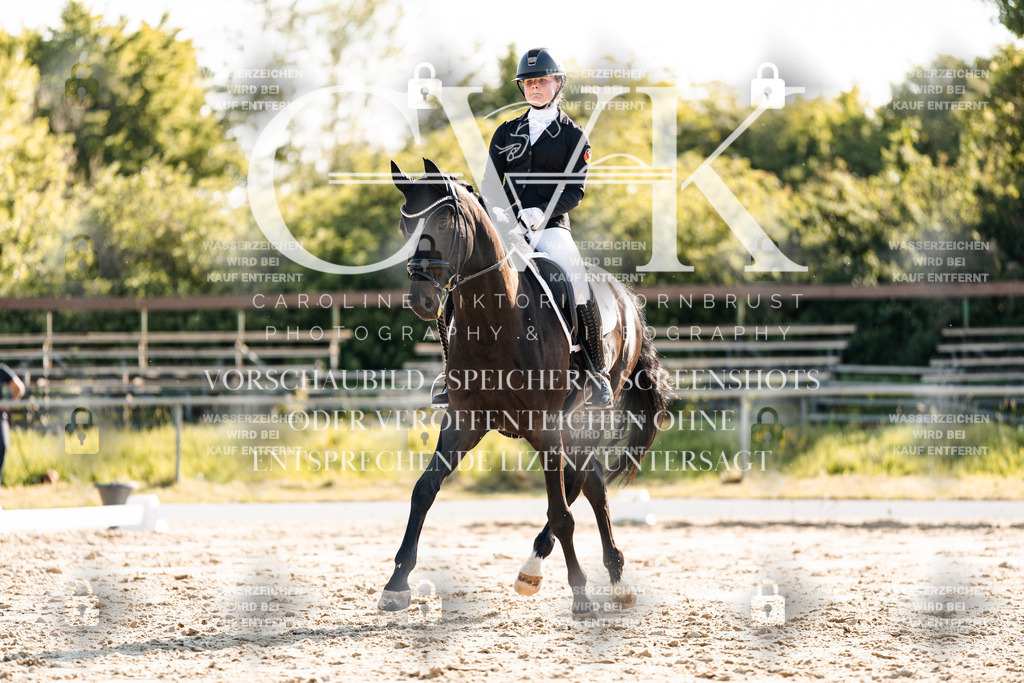 CK909891 | Turnierfotografie Pferdefotografie Trier Rheinland-Pfalz Pferdesport Reitsport Tierfotografie Sportfotografie Pferdevideo Pferdevideografie Equestrianvideography equestrianphotography  - Realisiert mit Pictrs.com