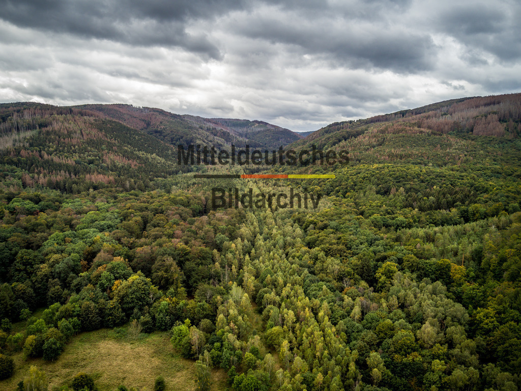innerdeutsche Grenze Grünes Band Ilsenburg Eckerntal-0010 | Die innerdeutsche deutsch-deutsche Grenze, das Grüne Band - Realisiert mit Pictrs.com