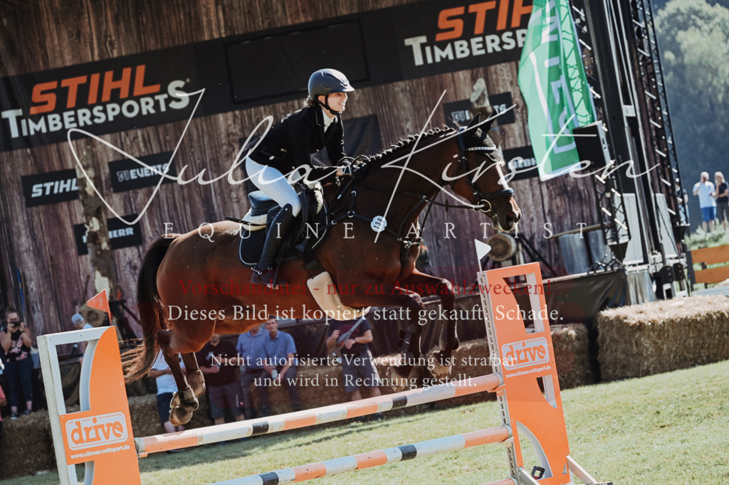 DSC_5835 | Pferde- und Turnierfotografie in Westsachsen. Pferdeportraits, Auftragszeichnungen und intuitive Kunst.