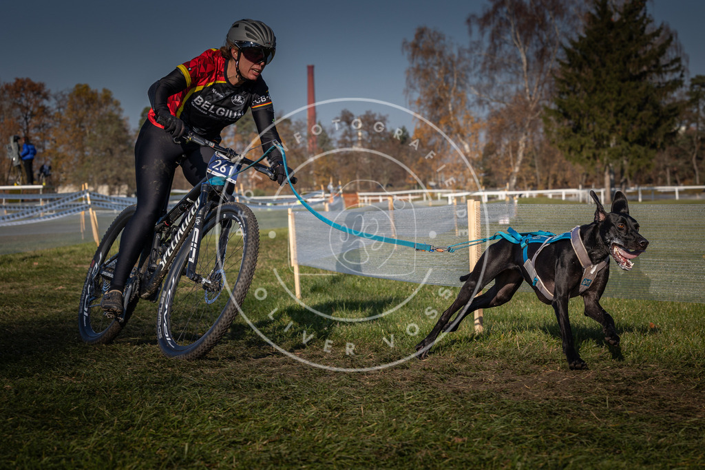 CaniXpix_0L8A6639 | Hundefotografie, Tierfotograf, Pfotenfotografie, Fotoshooting Hund, Hunde Portrait, Hundesport, Hundeportraits, Heideshooting, Hunde, Sportfotograf, Hundefotograf, Turnierhundsport, THS,  - Realisiert mit Pictrs.com