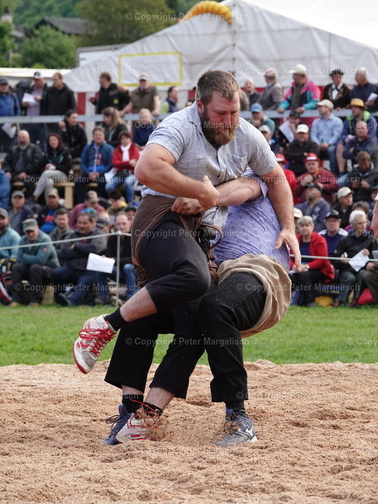 DSC07027 | Schwingen - Realisiert mit Pictrs.com