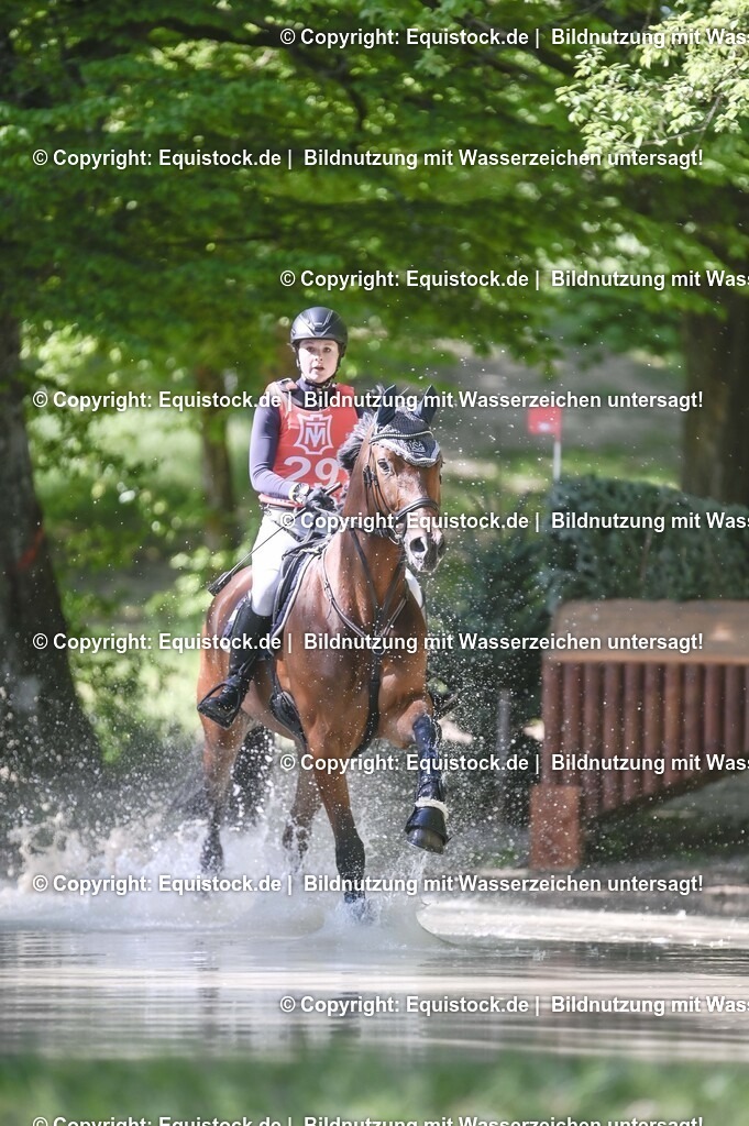 20250517_CCI2_Gelände_0802 | Foto: Thomas Hartig