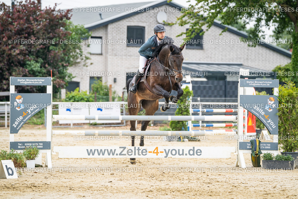 DSC00285 | Pferdegrafie