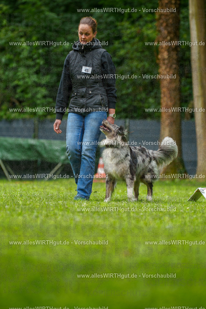 @allesWIRTHgut_Tierfotografie - www.allesWIRTHgut.de - 7R500314 | Professionelle Tierfotografie in Mönchengladbach von Daniel Wirth (allesWIRTHgut). Liebevolle & natürliche Bilder von Hunden & Katzen für unvergessliche Erinnerungen.