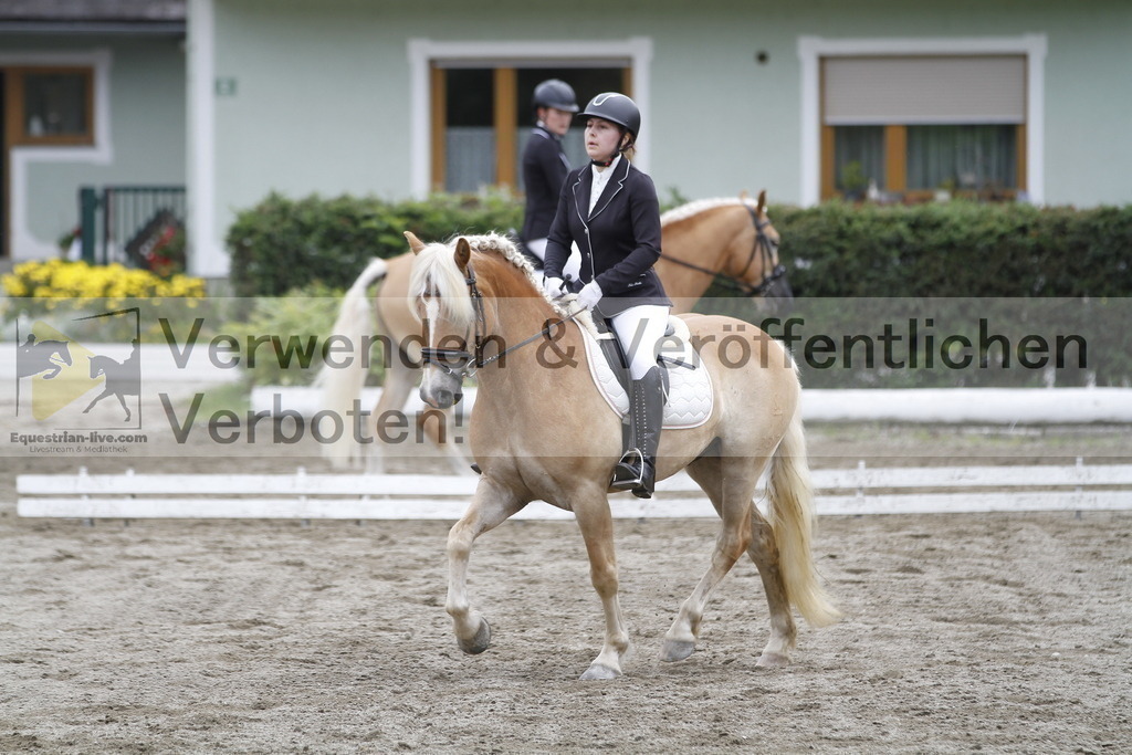 _MG_0951 | equestrian-live-com