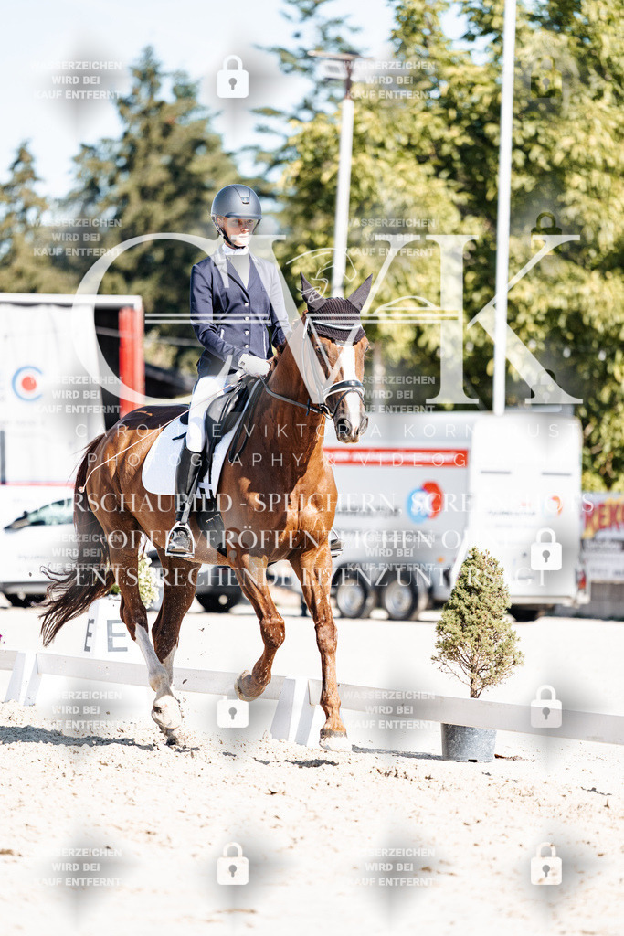 CK908480 | Turnierfotografie Pferdefotografie Trier Rheinland-Pfalz Pferdesport Reitsport Tierfotografie Sportfotografie Pferdevideo Pferdevideografie Equestrianvideography equestrianphotography  - Realisiert mit Pictrs.com