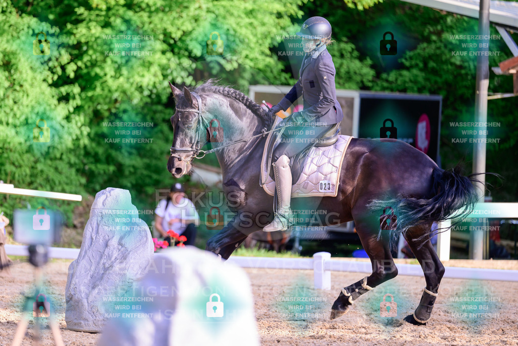 02052026-Giesenbach-03-Speedtrail-0660 | Fokus Hufschlag Fotografie - Realisiert mit Pictrs.com