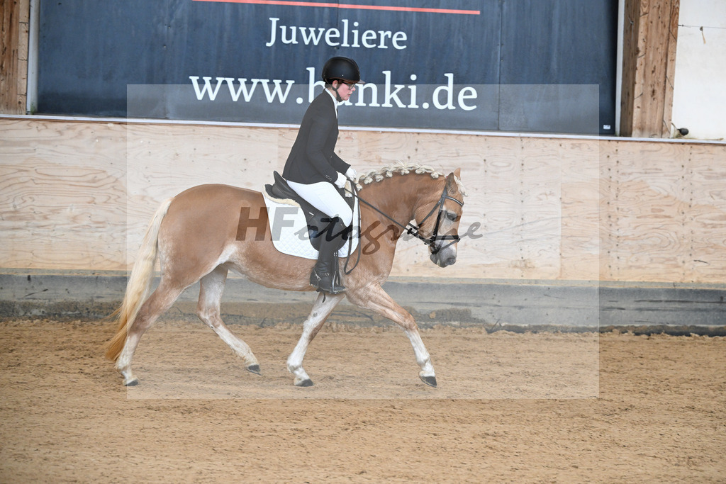 Kat-Nr. 11 Onatah v. Schampus_Demmler_50250092 | hf-fotografie - Realisiert mit Pictrs.com