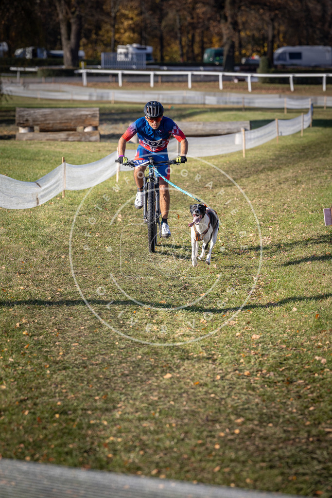 CaniXpix_DV3A2613 | Hundefotografie, Tierfotograf, Pfotenfotografie, Fotoshooting Hund, Hunde Portrait, Hundesport, Hundeportraits, Heideshooting, Hunde, Sportfotograf, Hundefotograf, Turnierhundsport, THS,  - Realisiert mit Pictrs.com
