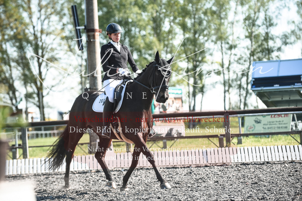 DSC_8372 | Pferde- und Turnierfotografie in Westsachsen. Pferdeportraits, Auftragszeichnungen und intuitive Kunst.