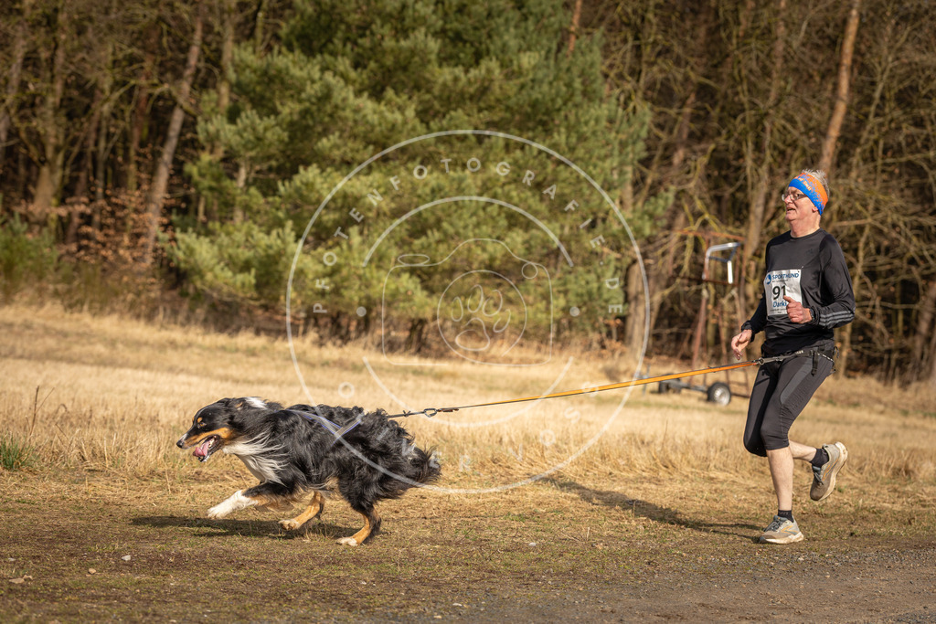 DV3A3848 | Hundefotografie, Tierfotograf, Pfotenfotografie, Fotoshooting Hund, Hunde Portrait, Hundesport, Hundeportraits, Heideshooting, Hunde, Sportfotograf, Hundefotograf, Turnierhundsport, THS,  - Realisiert mit Pictrs.com