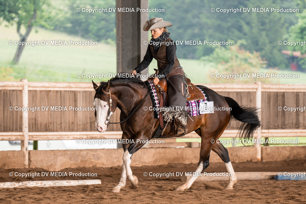 Erbach Tag 2-500 | dv-media-shop - Realisiert mit Pictrs.com