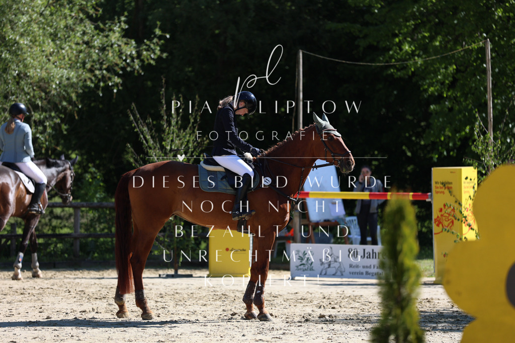 IMGS6587 | pl-fotografie