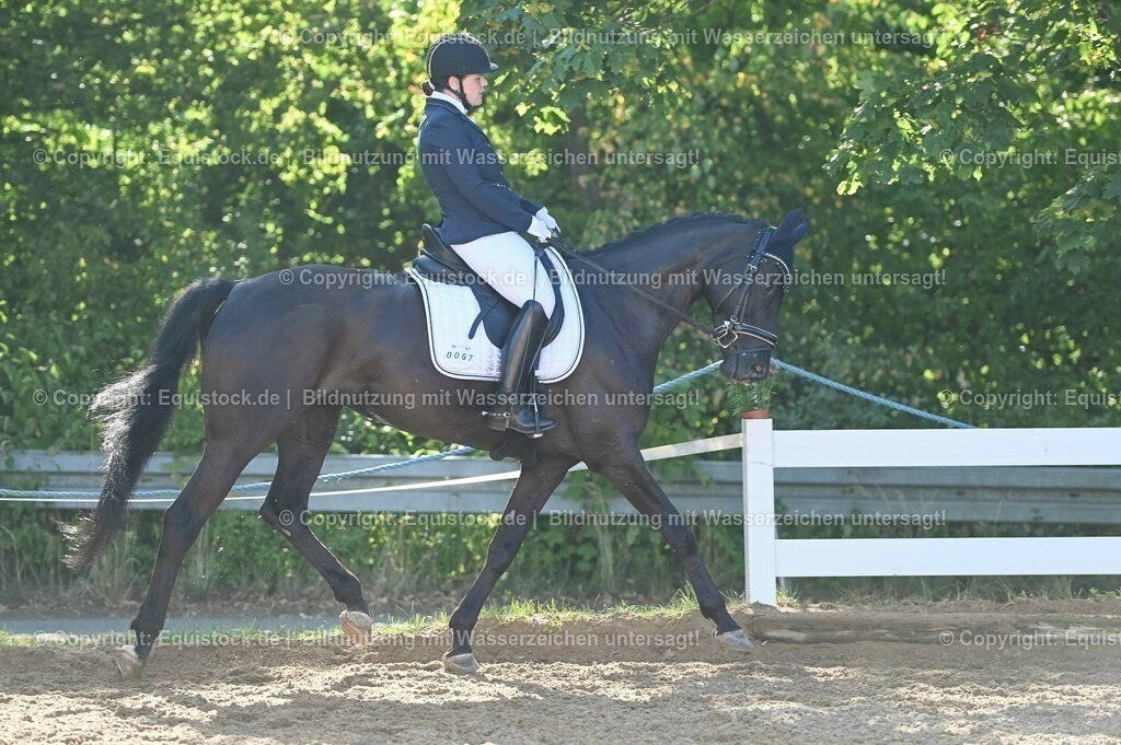 20230715_06_Dressurpferdeprfg. Kl.A_0167 | equistock