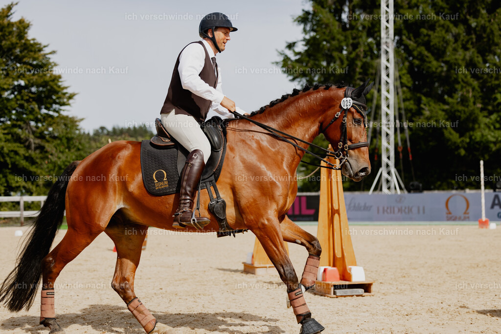 Gernot25_FHC2025-20981 | working equitationturnier fotograf videograf stoibphotography marixx film working equitation deutschland reitsport turnierfotografie eventfotografie equestrian events