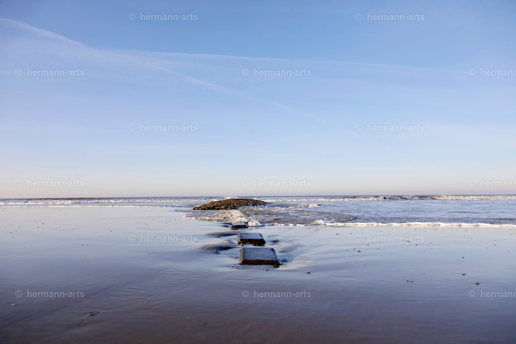 Nature-Arts-018 | Photo Foto Kunst Art schwarzweiss Bilder Rheine Münster Berlin Blumen 