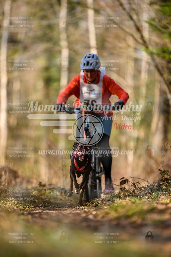 MompixPhotography_6ReiatRennen2026_SO_Bike-125 | PayLife