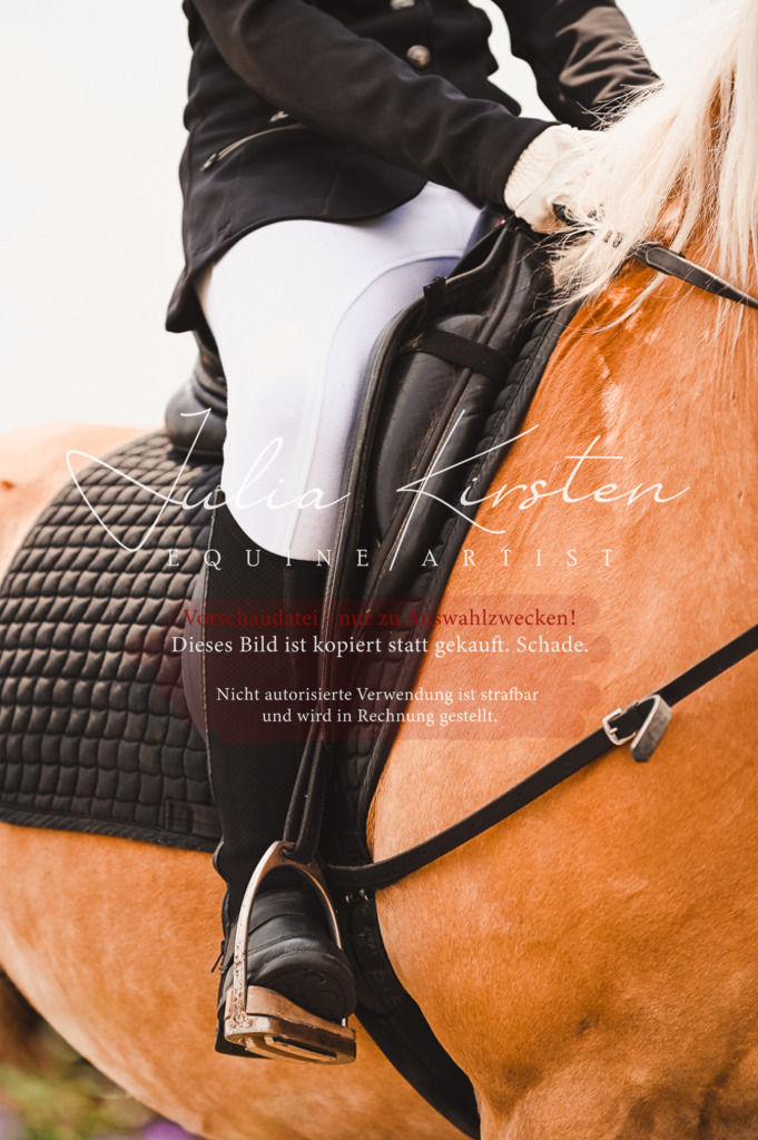 DSC_6343 | Pferde- und Turnierfotografie in Westsachsen. Pferdeportraits, Auftragszeichnungen und intuitive Kunst.