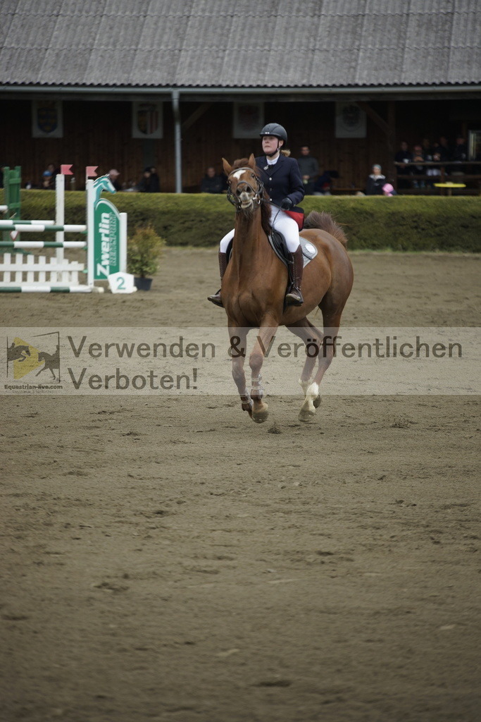 _DSC7156 | equestrian-live-com