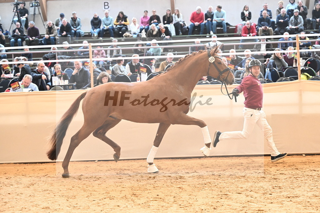 Kat.-Nr. 45 v. Escanto PS_De Vittorio und Stechele_3265116 | hf-fotografie - Realisiert mit Pictrs.com