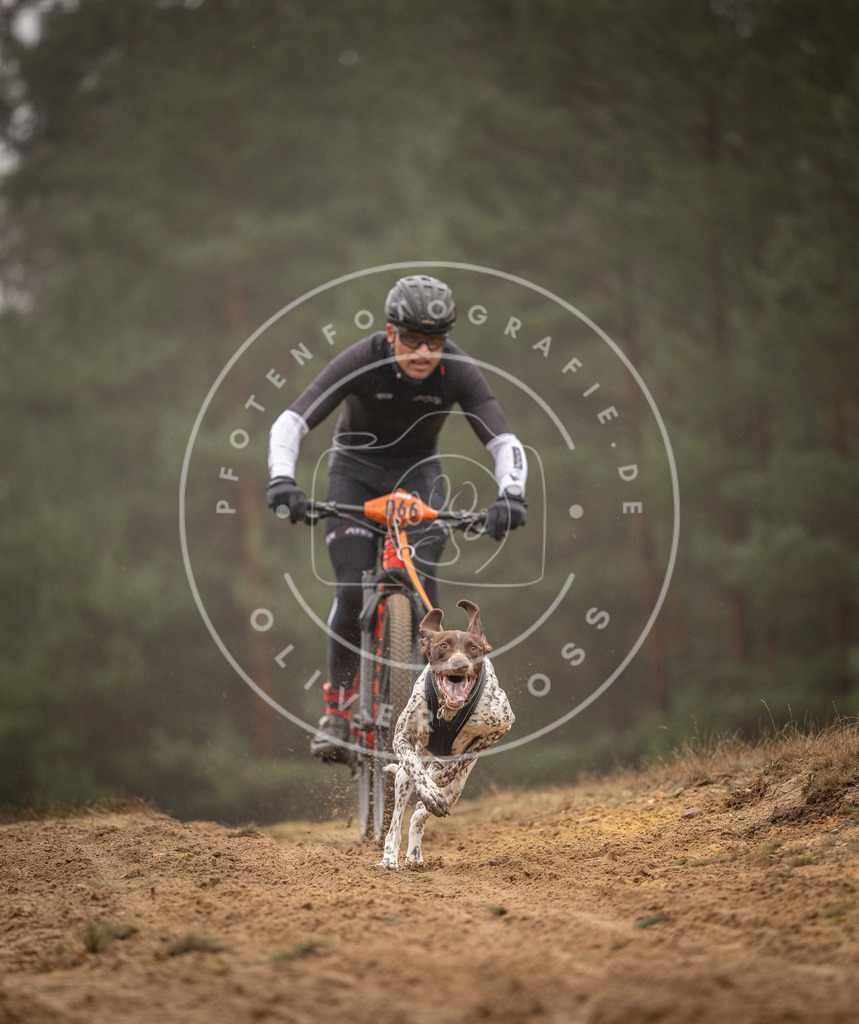 Pfotenfotografie_DV3A2495 | Hundefotografie, Tierfotograf, Pfotenfotografie, Fotoshooting Hund, Hunde Portrait, Hundesport, Hundeportraits, Heideshooting, Hunde, Sportfotograf, Hundefotograf, Turnierhundsport, THS,  - Realisiert mit Pictrs.com