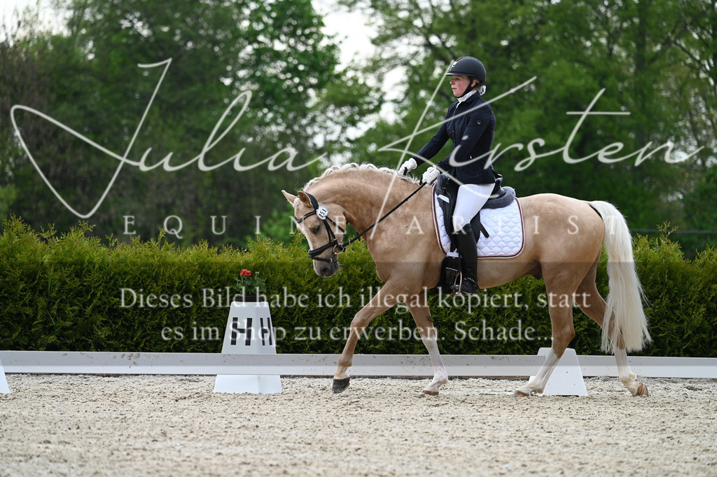 20230512_JK-Röhrsdorf-02-101 | Pferde- und Turnierfotografie in Westsachsen. Pferdeportraits, Auftragszeichnungen und intuitive Kunst.