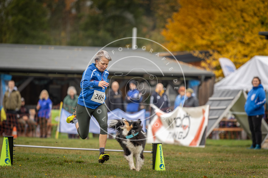 Pfotenfotografie_DV3A1721 | Hundefotografie, Tierfotograf, Pfotenfotografie, Fotoshooting Hund, Hunde Portrait, Hundesport, Hundeportraits, Heideshooting, Hunde, Sportfotograf, Hundefotograf, Turnierhundsport, THS,  - Realisiert mit Pictrs.com
