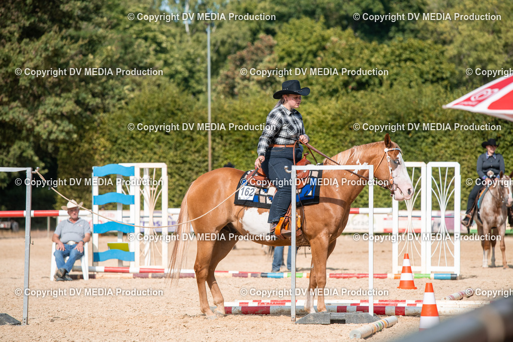 EWP_6902 | dv-media-shop - Realisiert mit Pictrs.com