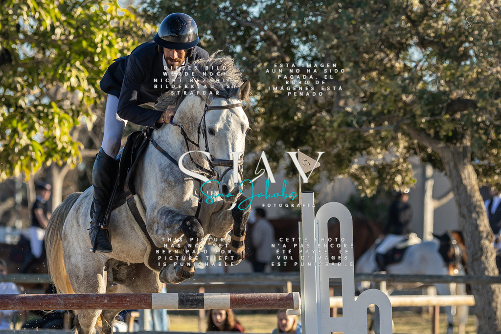 IMG_2551-2 | s-jay-photography - Realisiert mit Pictrs.com