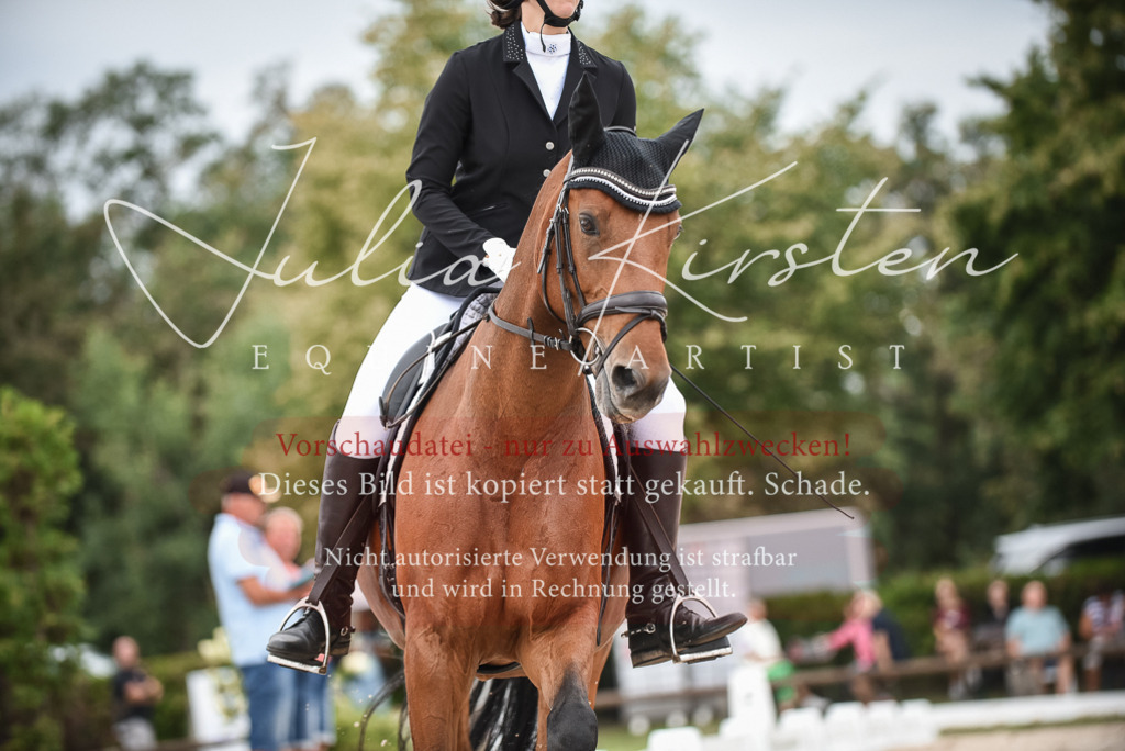 DSC_7982 | Pferde- und Turnierfotografie in Westsachsen. Pferdeportraits, Auftragszeichnungen und intuitive Kunst.