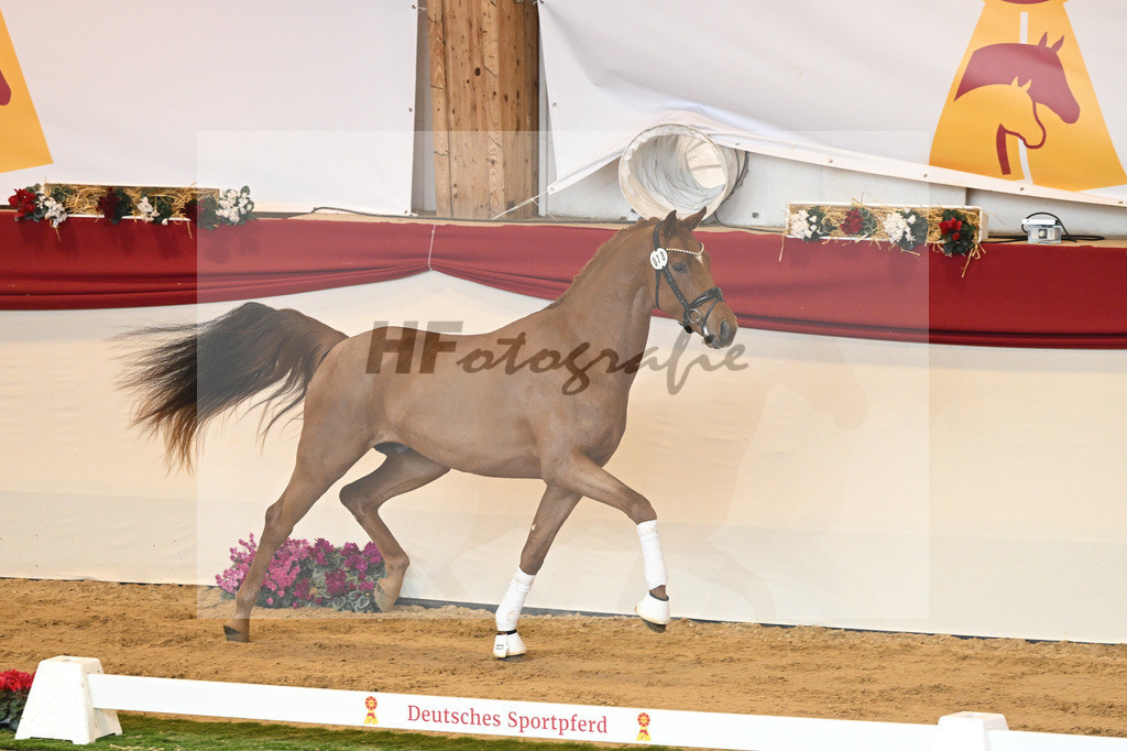 Kat-Nr. 73 Vaderland_Galneder_1230436 | hf-fotografie - Realisiert mit Pictrs.com