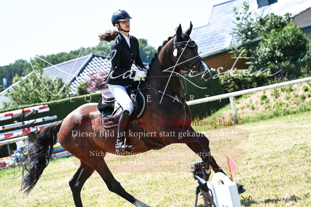 DSC_0442 | Pferde- und Turnierfotografie in Westsachsen. Pferdeportraits, Auftragszeichnungen und intuitive Kunst.