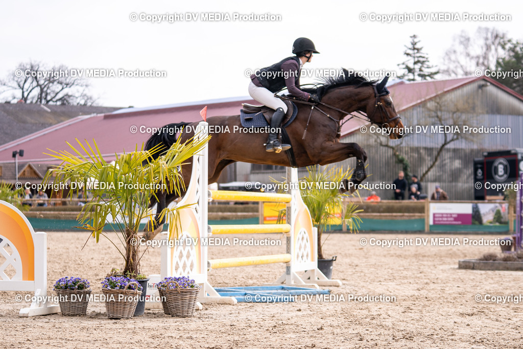 Kranichstein Tag 2-1749 | dv-media-shop - Realisiert mit Pictrs.com