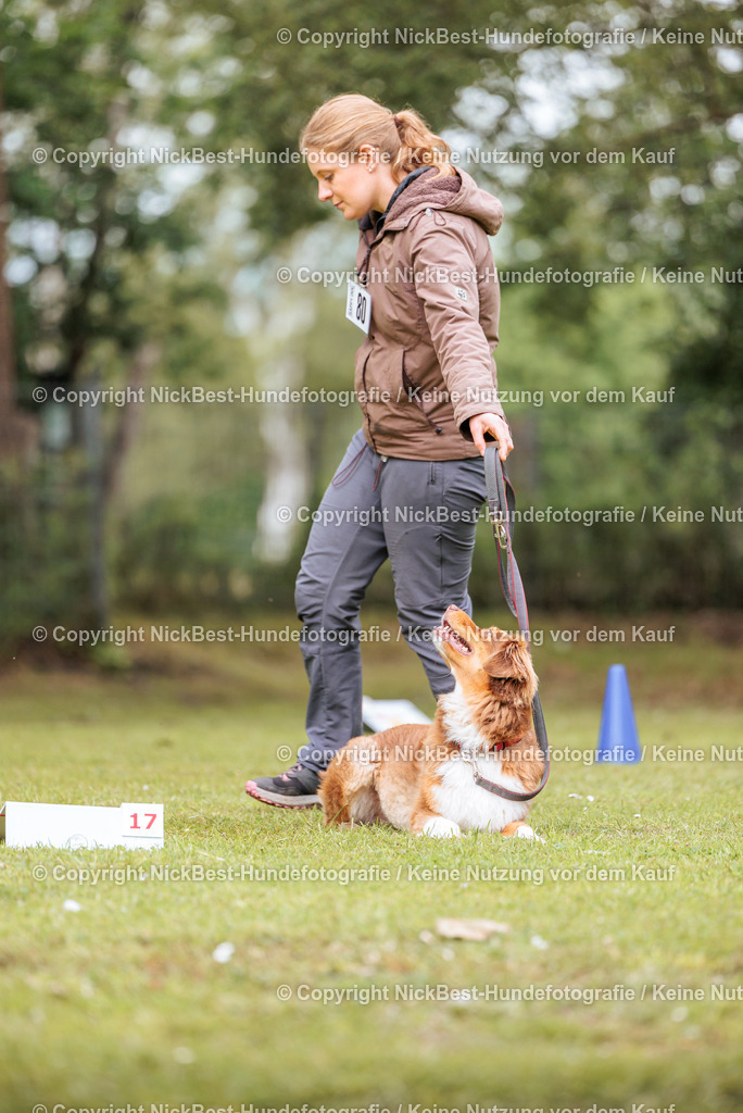 RO-Blumenthal-2026-Nickbest-Hundefotografie-3425 | Dein Hund! Dein Moment! Deine Erinnerungen! Hundefotografie in Bremen Blumenthal. Ich fange die besonderen Momente deines Vierbeiners ein – ob Indoor mit Blitzanlage oder in der freien Natur. Sicher dir dein Moment und dein Termin für eure Erinnerungen.