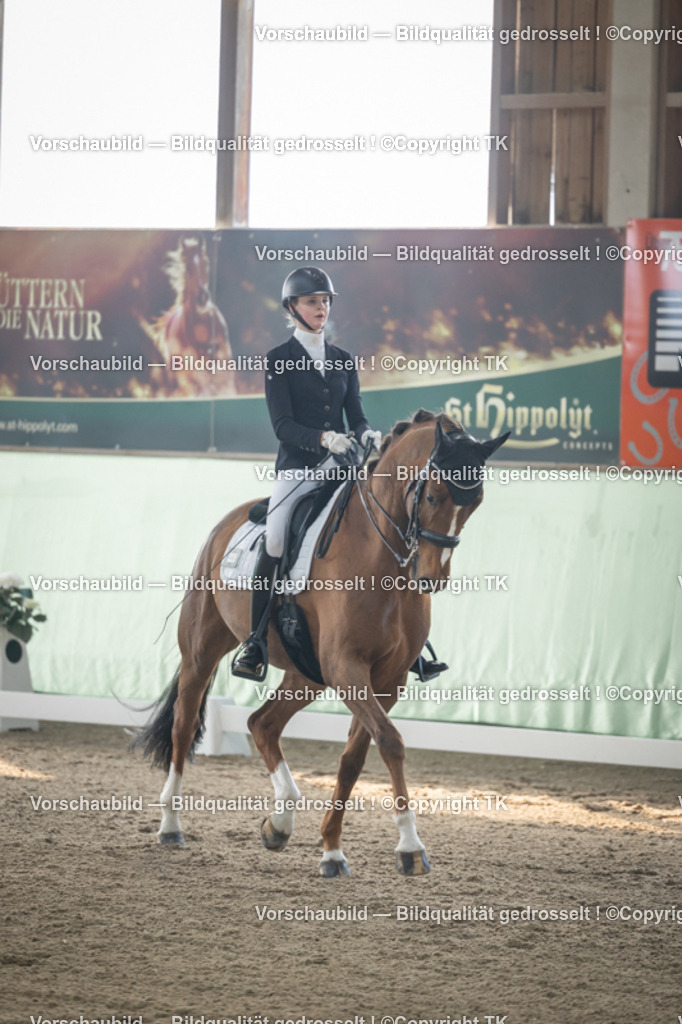 _D5A4432 | Emotionale Pferde- & People-Fotografie rund um Heidelberg, Leimen & Umgebung. Natürliche Fotos von Pferd, Mensch & Familie. Jetzt Termin sichern!