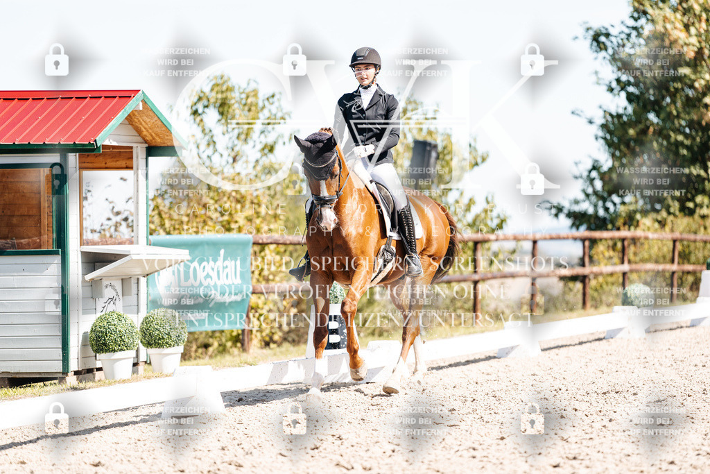 CK909561 | Turnierfotografie Pferdefotografie Trier Rheinland-Pfalz Pferdesport Reitsport Tierfotografie Sportfotografie Pferdevideo Pferdevideografie Equestrianvideography equestrianphotography  - Realisiert mit Pictrs.com