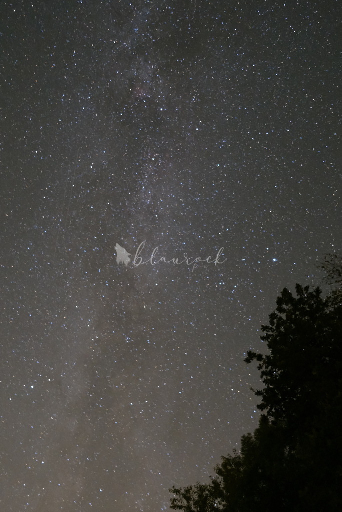 DSCF2487 | Sportbilder, Sportfotograf, Hochzeits- und Eventfotografin, Flugshows, Portraits und Tiershooting, Aviation, Downhill, Nationalleague, Swissleague, International