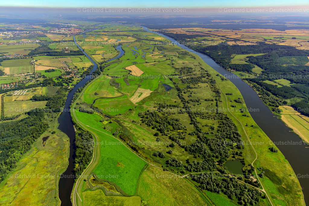 3637444 | Nationalpark Unteres Odertal bei Zützen