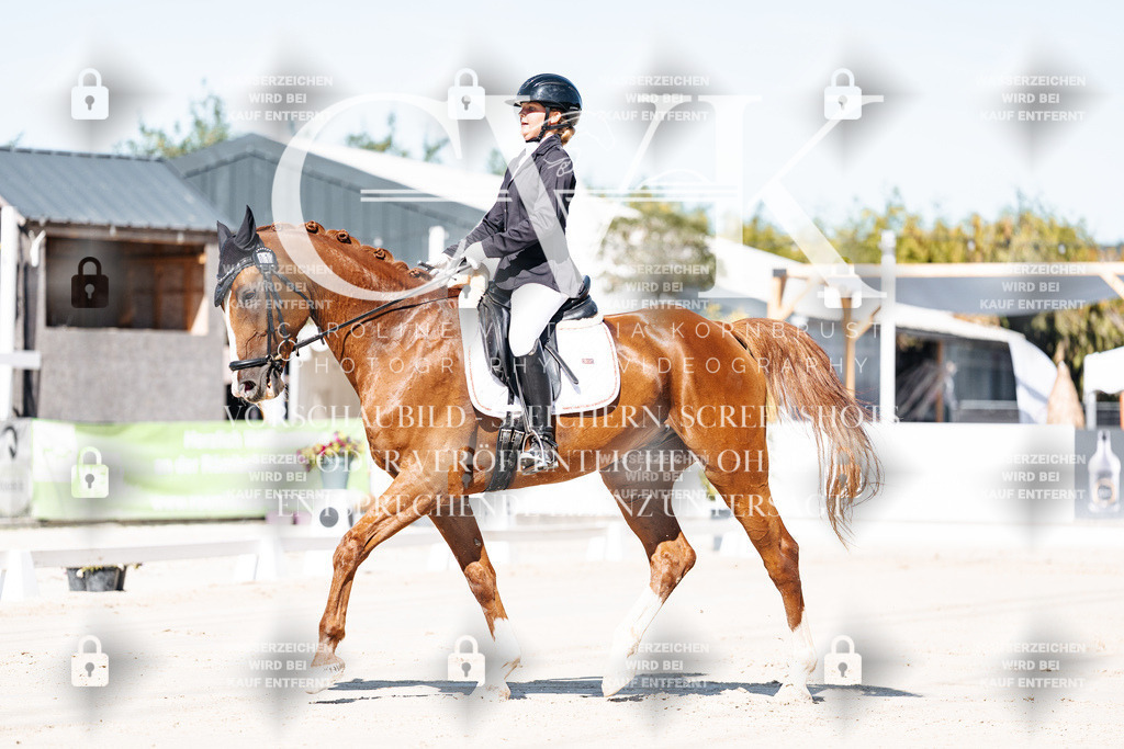 CK908883 | Turnierfotografie Pferdefotografie Trier Rheinland-Pfalz Pferdesport Reitsport Tierfotografie Sportfotografie Pferdevideo Pferdevideografie Equestrianvideography equestrianphotography  - Realisiert mit Pictrs.com