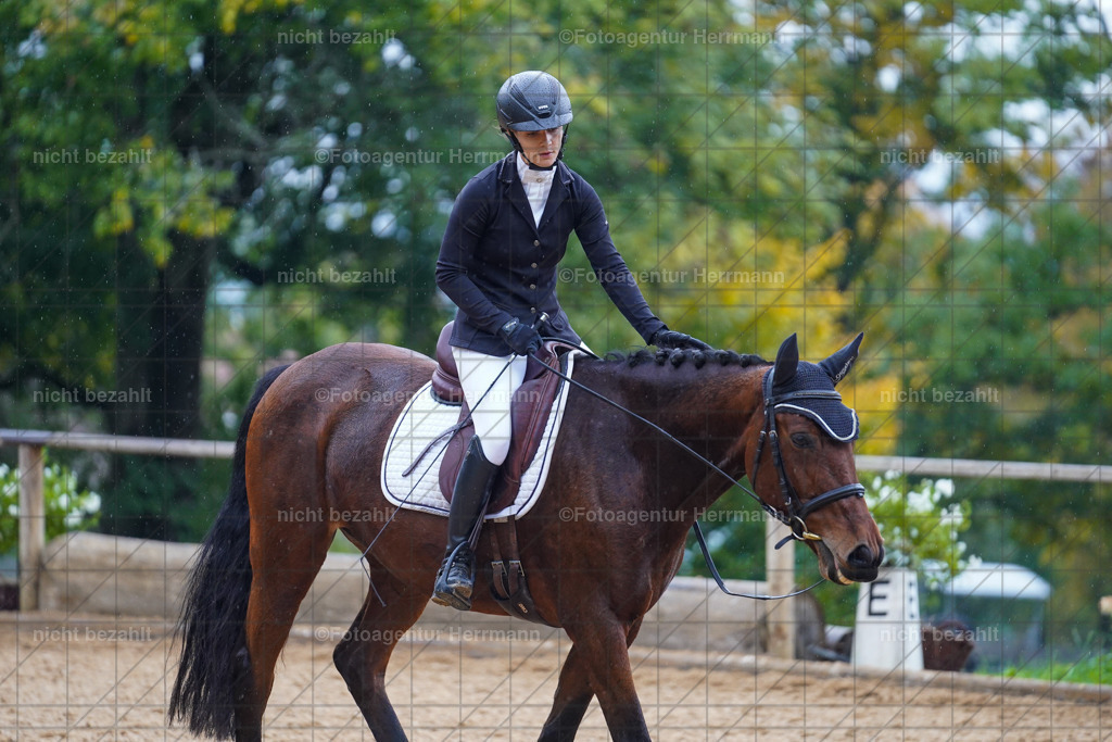 20221008-FAH02024 | Diessen am Ammersee, 2022, Dressur- und Springturnier, Reitsportbilder, Turnierfotografen Bayern, Pferdefotografen, Fotoagentur Herrmann, Turnierbilder