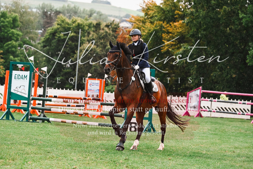 DSC_6387 | Pferde- und Turnierfotografie in Westsachsen. Pferdeportraits, Auftragszeichnungen und intuitive Kunst.