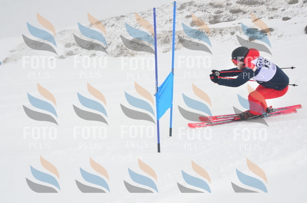 A6088 | holidayphoto